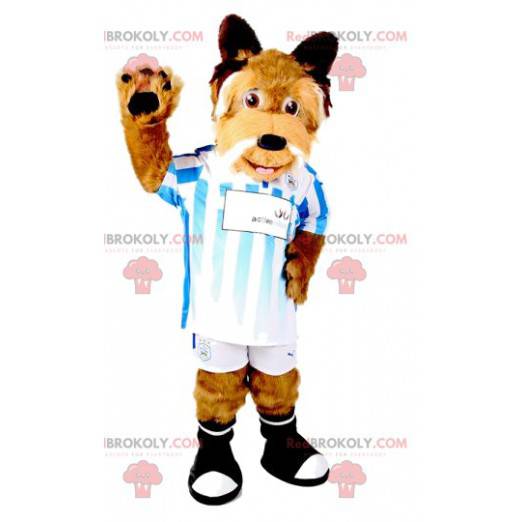 Hnědý pes maskot ve sportovním oblečení. Kostým pro psa -