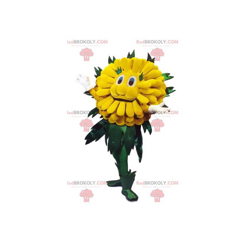 Cute yellow dandelion mascot. Dandelion costume. -