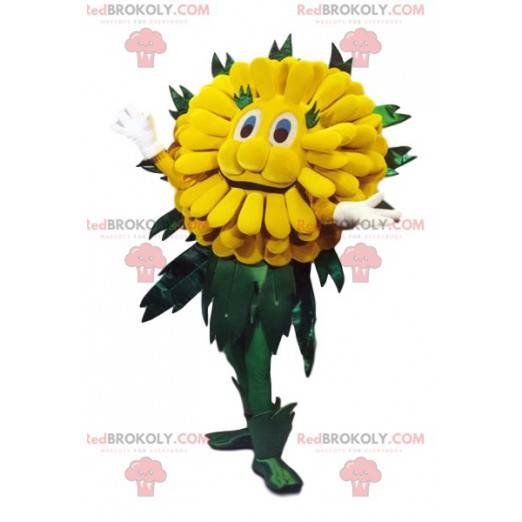 Cute yellow dandelion mascot. Dandelion costume. -