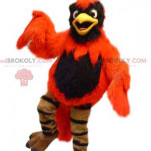 Mascote laranja e águia negra. Fantasia de fênix -