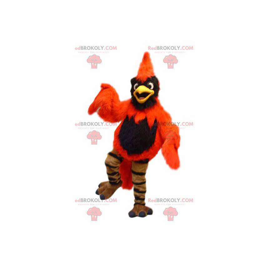 Mascote laranja e águia negra. Fantasia de fênix -