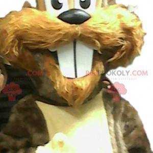 Squirrel mascot with beautiful teeth. Squirrel costume -