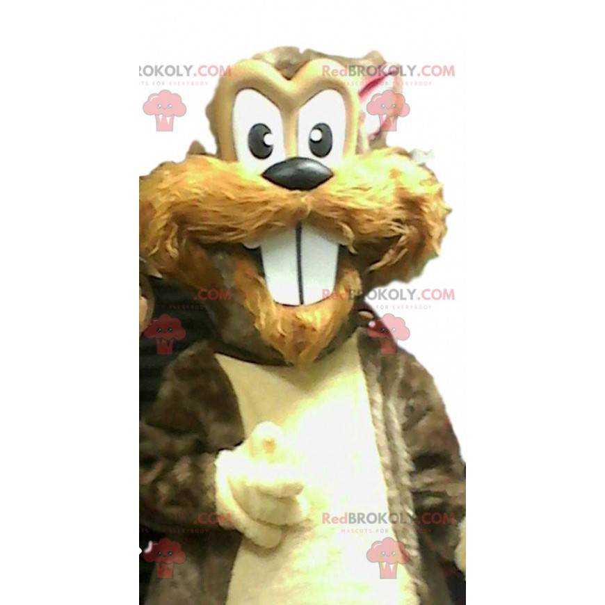 Squirrel mascot with beautiful teeth. Squirrel costume -