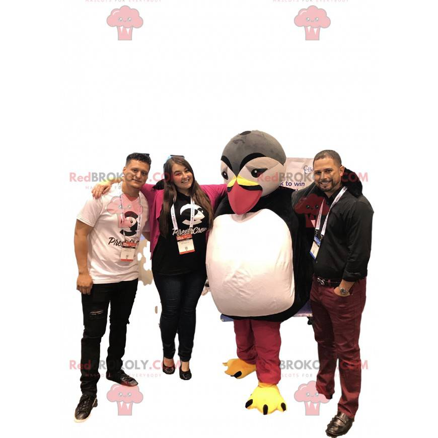 Mascot Puffin, Prestashop. Disfraz de frailecillo - Mascot Puffin, Prestashop. Disfraz de frailecillo -