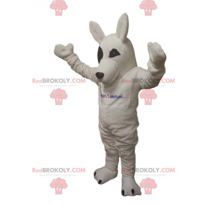 Mascota lobo blanco. Disfraz de lobo blanco - Redbrokoly.com