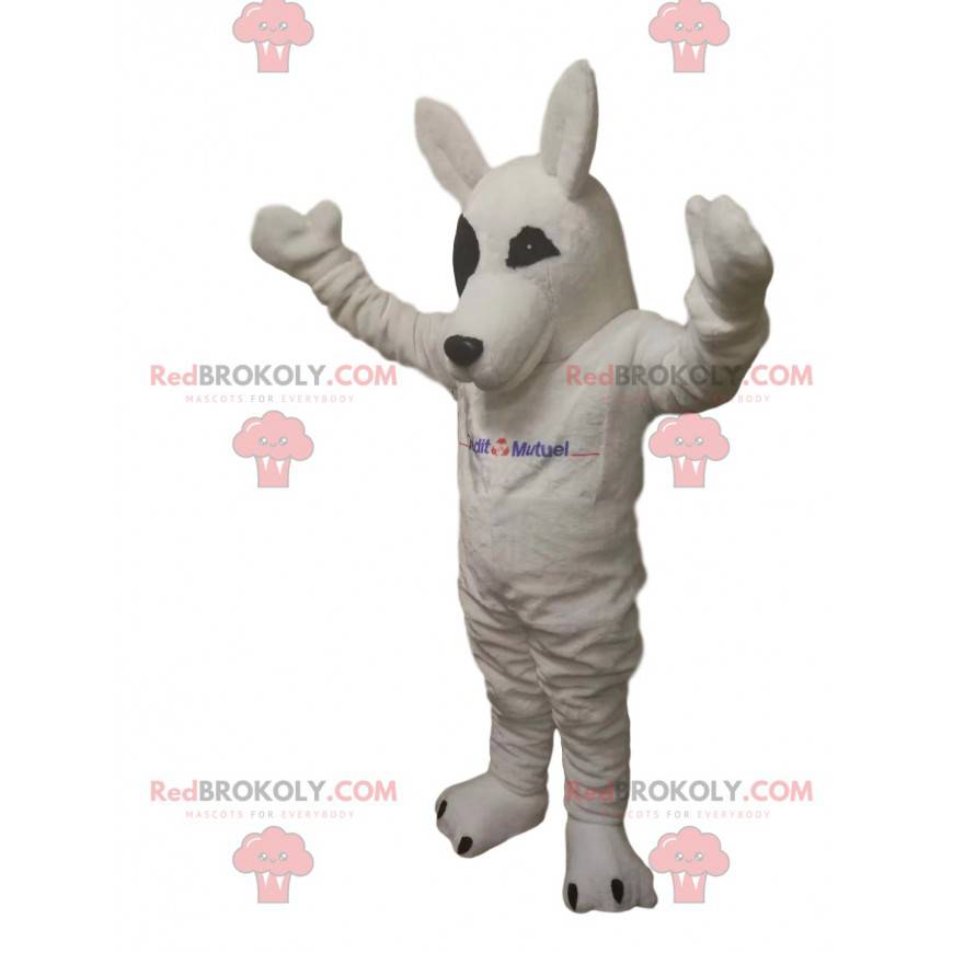 Mascotte del lupo bianco. Costume da lupo bianco -