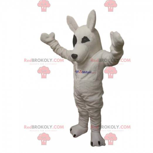 Mascotte de loup blanc. Costume de loup blanc - Redbrokoly.com