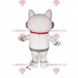 White cat mascot with headphones. White cat costume -