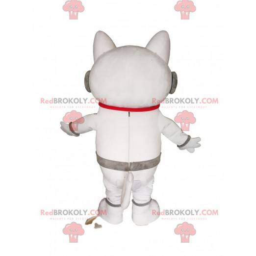 Witte kat mascotte met koptelefoon. Witte kat kostuum -