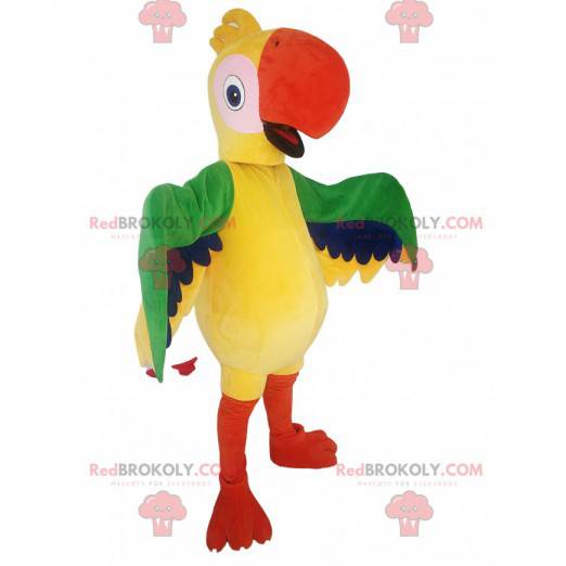 Mascote do papagaio multicolorido. Fantasia de papagaio -