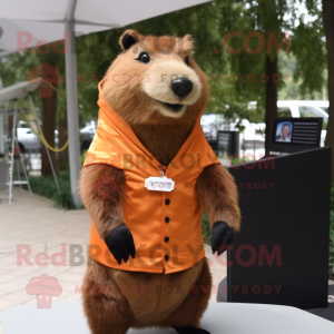 Rust Capybara mascotte...