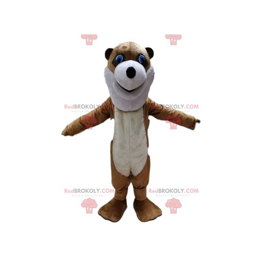 Brown Fox Maskottchen mit seiner spitzen Nase. - Redbrokoly.com