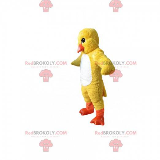 Maskotka żółty kurczak. Kostium laski - Redbrokoly.com