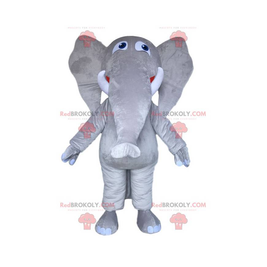 Majestátní šedý slon maskot. Šedý kostým slona - Redbrokoly.com Majestátní šedý slon maskot. Šedý kostým slona - Redbrokoly.com