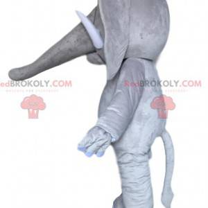 Majestic gray elephant mascot. Gray elephant costume -