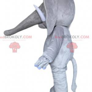 Majestátní šedý slon maskot. Šedý kostým slona - Redbrokoly.com