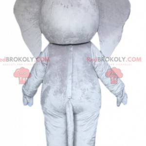 Majestic gray elephant mascot. Gray elephant costume -