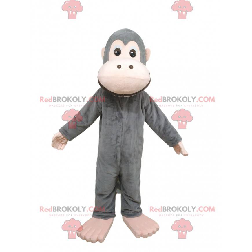 Mascote do macaco cinza. Fantasia de macaco cinza -