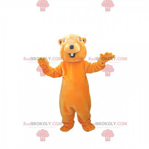 Very smiling orange beaver mascot. Beaver costume -