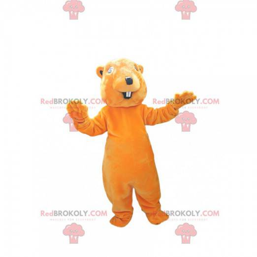 Very smiling orange beaver mascot. Beaver costume -