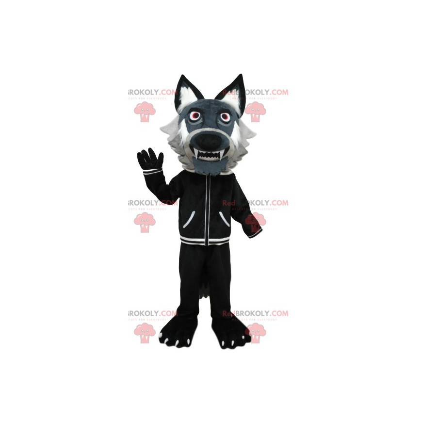 Gray wolf mascot with a black jacket. Wolf costume -