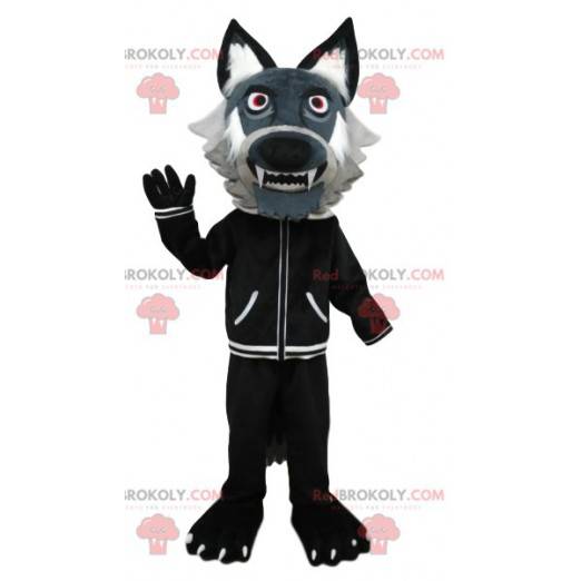 Gray wolf mascot with a black jacket. Wolf costume -