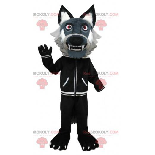 Mascote do lobo cinzento com uma jaqueta preta. Fantasia de