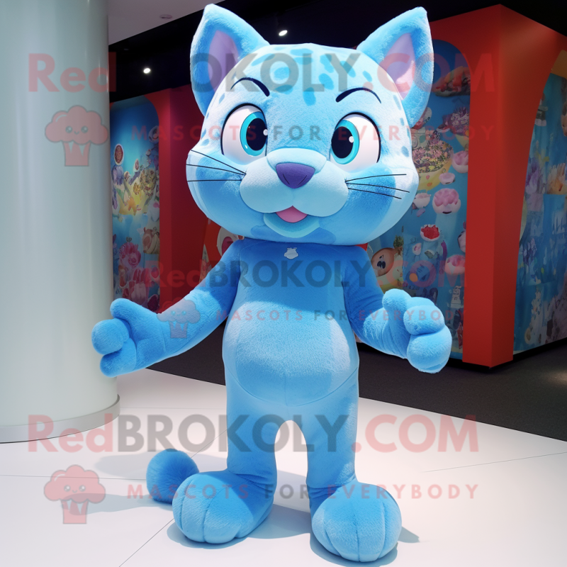 Blue cat pies shop
