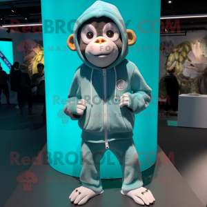 Cyan Capuchin Monkey...