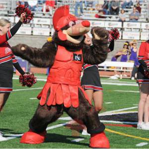 Brown bear mascot in knight outfit - Redbrokoly.com