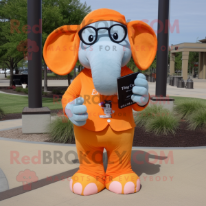 Orange elefant maskot...