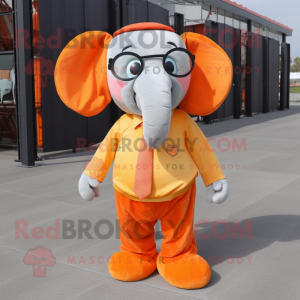 Orange elefant maskot...