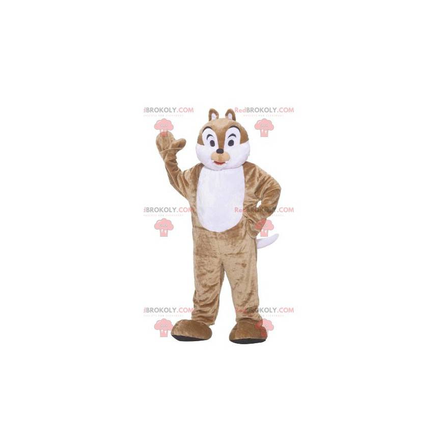 Mascote esquilo marrom e branco Tic ou Tac - Redbrokoly.com
