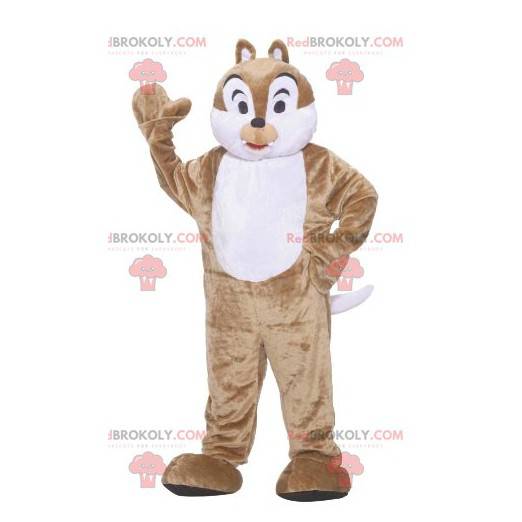 Tic nebo Tac hnědý a bílý veverka maskot - Redbrokoly.com