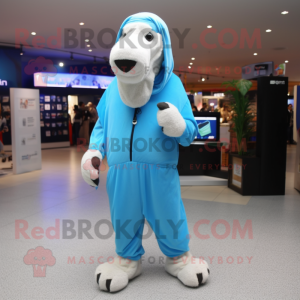 Sky Blue Camel mascotte...