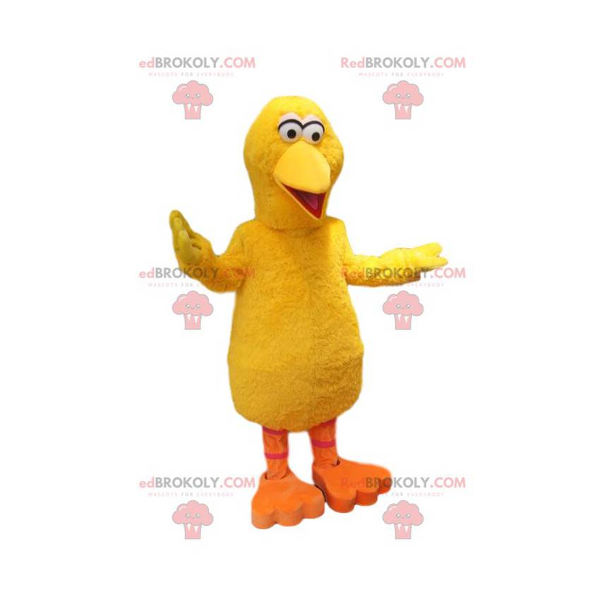 Mascote de pato amarelo muito cômico. Fantasia de pato -