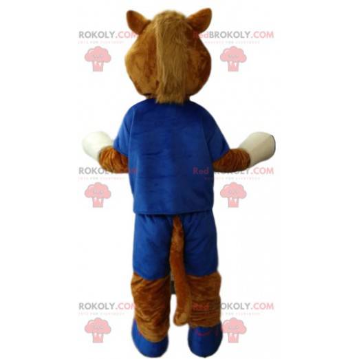 Mascota del caballo marrón en ropa deportiva azul. -