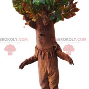 Mascotte d'arbre avec un superbe houppier vert. Costume d'arbre