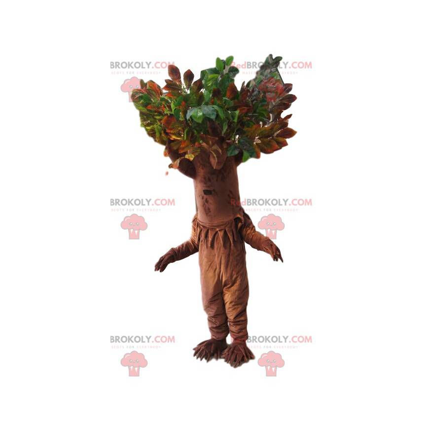 Mascote da árvore com uma soberba coroa verde. Fantasia de