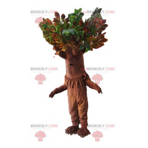 Mascota del árbol con una magnífica corona verde. Traje de