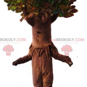 Mascotte d'arbre avec un superbe houppier vert. Costume d'arbre