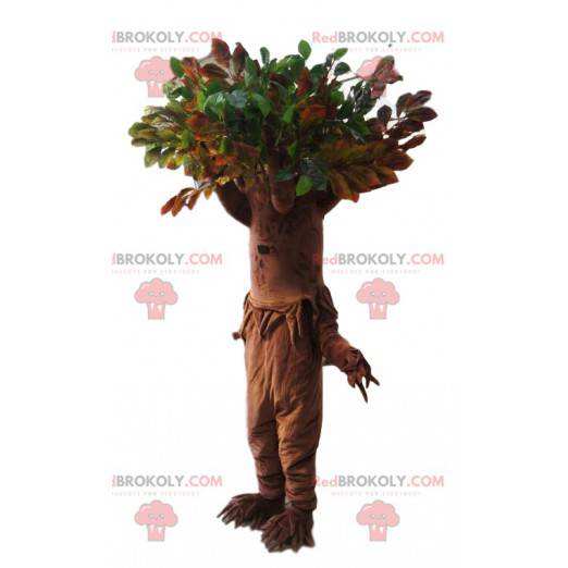 Mascotte d'arbre avec un superbe houppier vert. Costume d'arbre