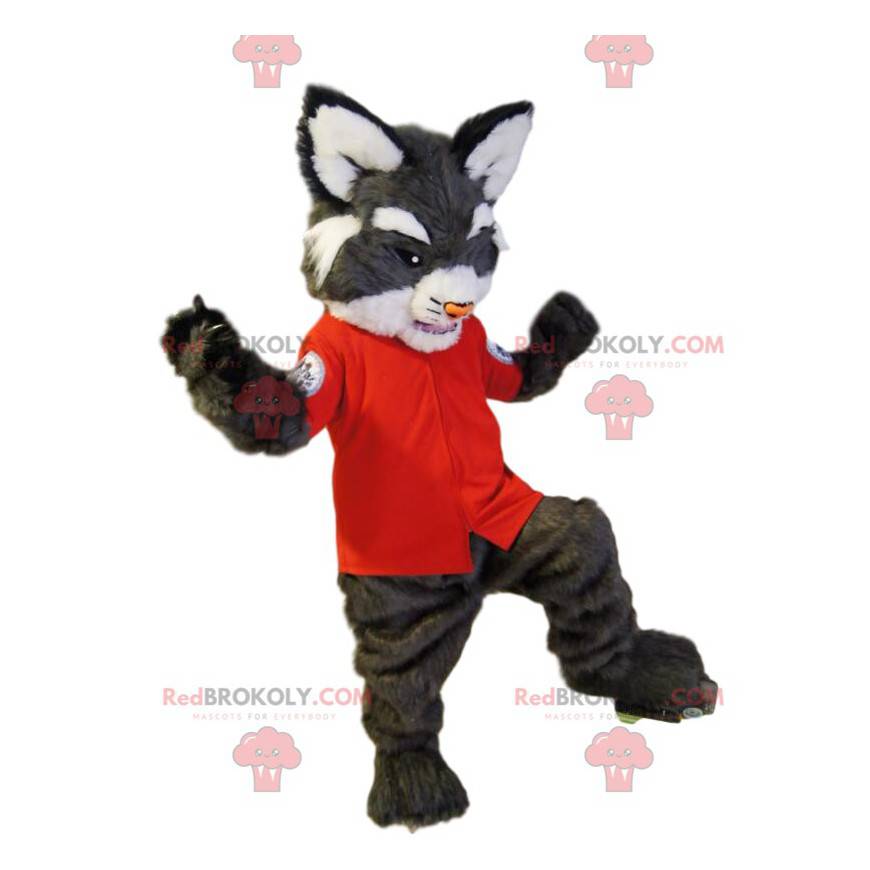 Graues wildes Katzenmaskottchen mit einem roten Hemd -