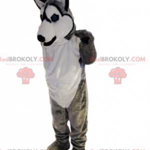 Mascotte de husky gris et blanc souriant. Costume de loup -