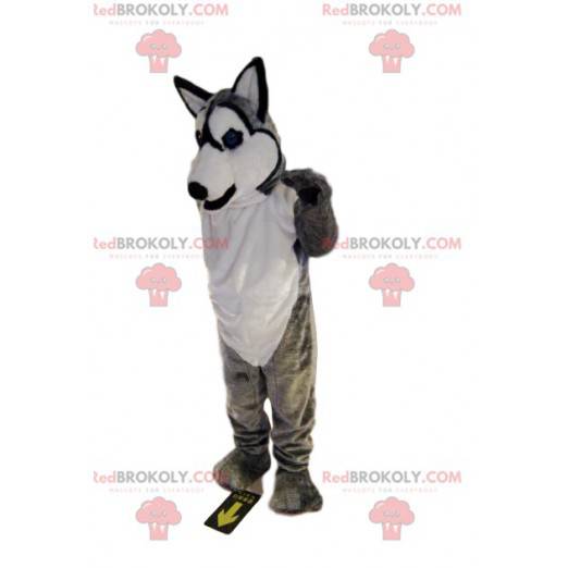 Gray and white husky mascot smiling. Wolf costume -