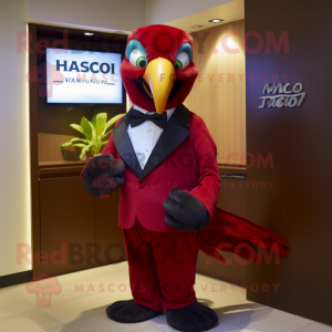 Maroon Macaw maskot kostume...