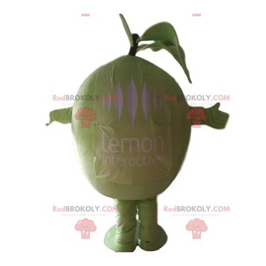 Mascotte de citron vert super fun. Costume de citron -