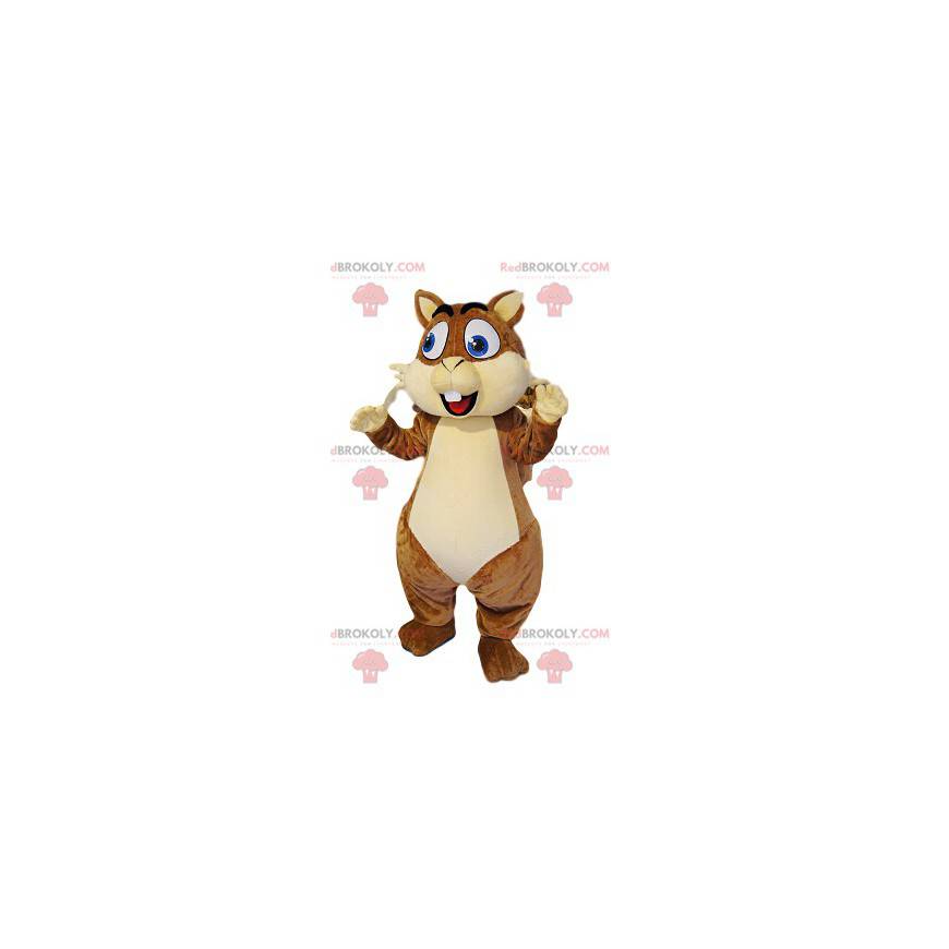 Very happy brown squirrel mascot with big blue eyes - Very happy brown squirrel mascot with big blue eyes -