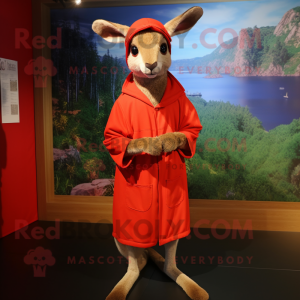 Rød kenguru maskot drakt...