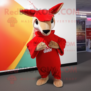 Rode kangoeroe mascotte...